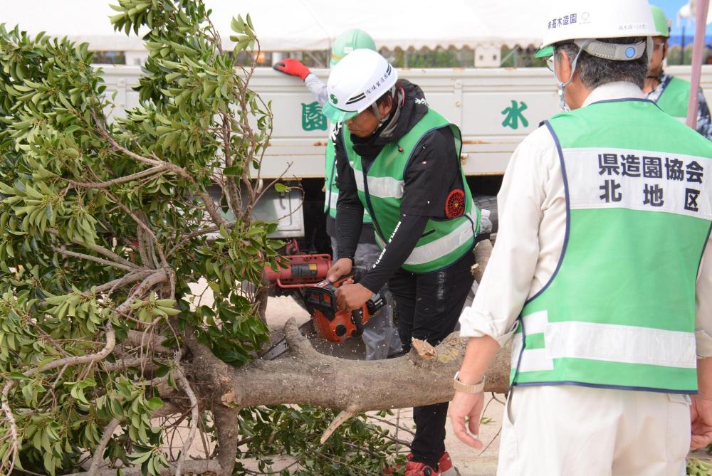 救出救護訓練（倒れた木を切る）