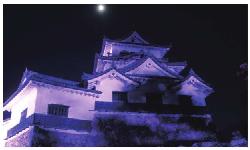 紫色にライトアップされた彦根城の写真
