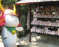 豪徳寺で並べてある招き猫を指し示すひこにゃん