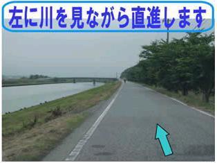 近江八幡方面からの道と、長浜方面からの道の合流後、川の右側を直進している写真