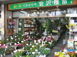 安澤種苗店入口から店内を右斜め前からとった写真