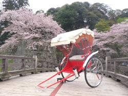 満開の桜の橋の上におかれた人力車の写真