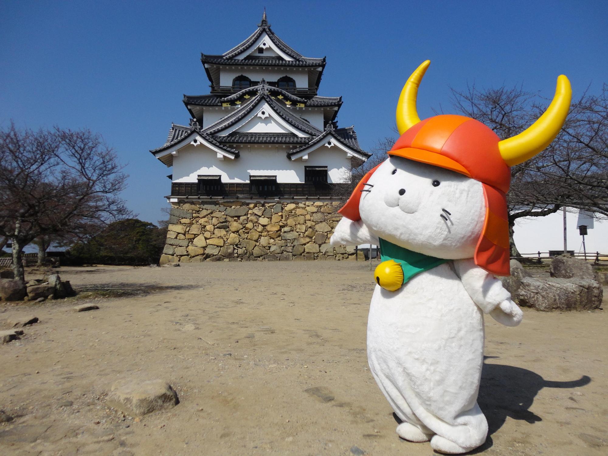 ひこにゃんが天守前でポーズをとる写真